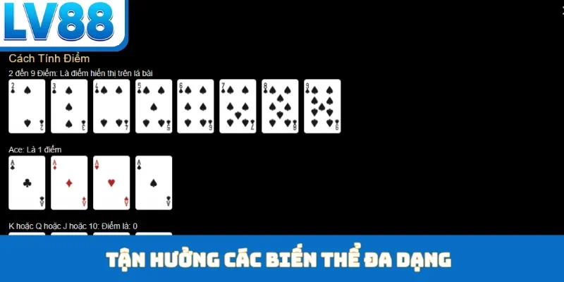 Tận hưởng các biến thể đa dạng